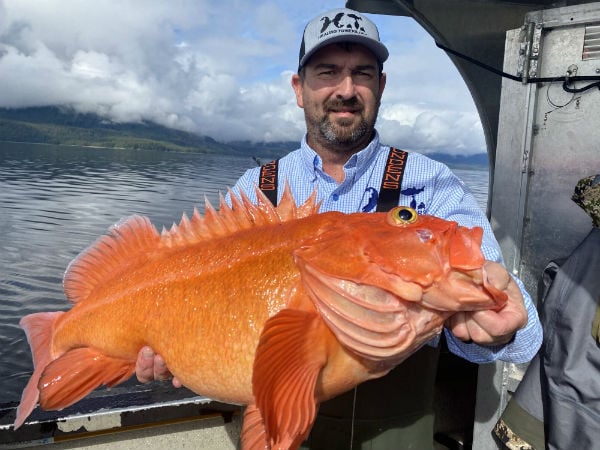 Photo of Duke Davis with a  Yellow Eyed Rockfish caught aboard the Hot Ruddered Bum at Healing Towers in Alaska.